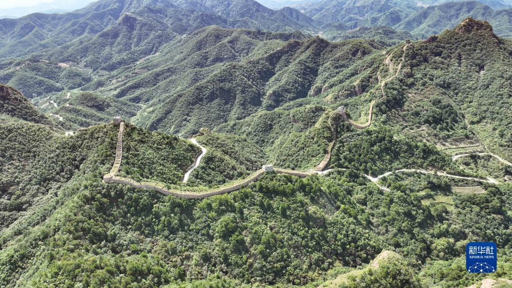 澳门游戏手机游戏下载